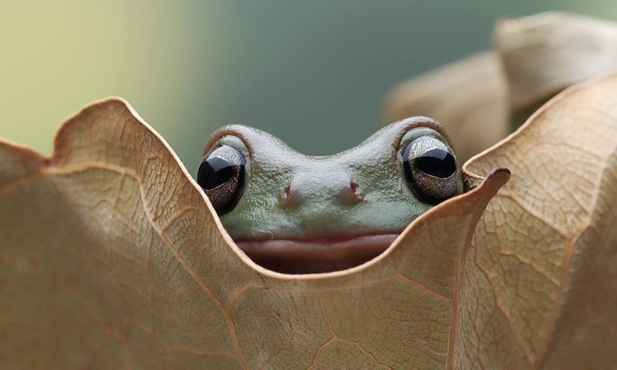 Διάβασε ΔΩΡΕΑΝ την προσωπική σου πρόβλεψη, για σήμερα 11/10/2022