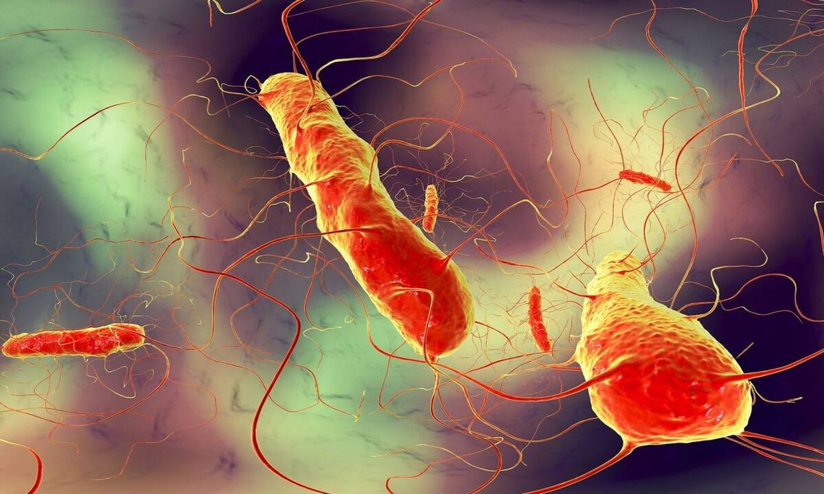 Μικροσκοπική κολίτιδα: Τα συμπτώματα & τα φάρμακα που προκαλούν τη διαταραχή του πεπτικού συστήματος