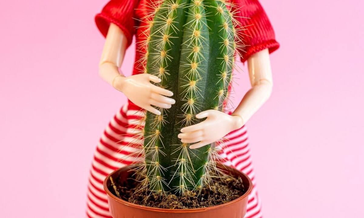 Τα τέσσερα ζώδια που εξιδανικεύουν τις τοξικές τους σχέσεις