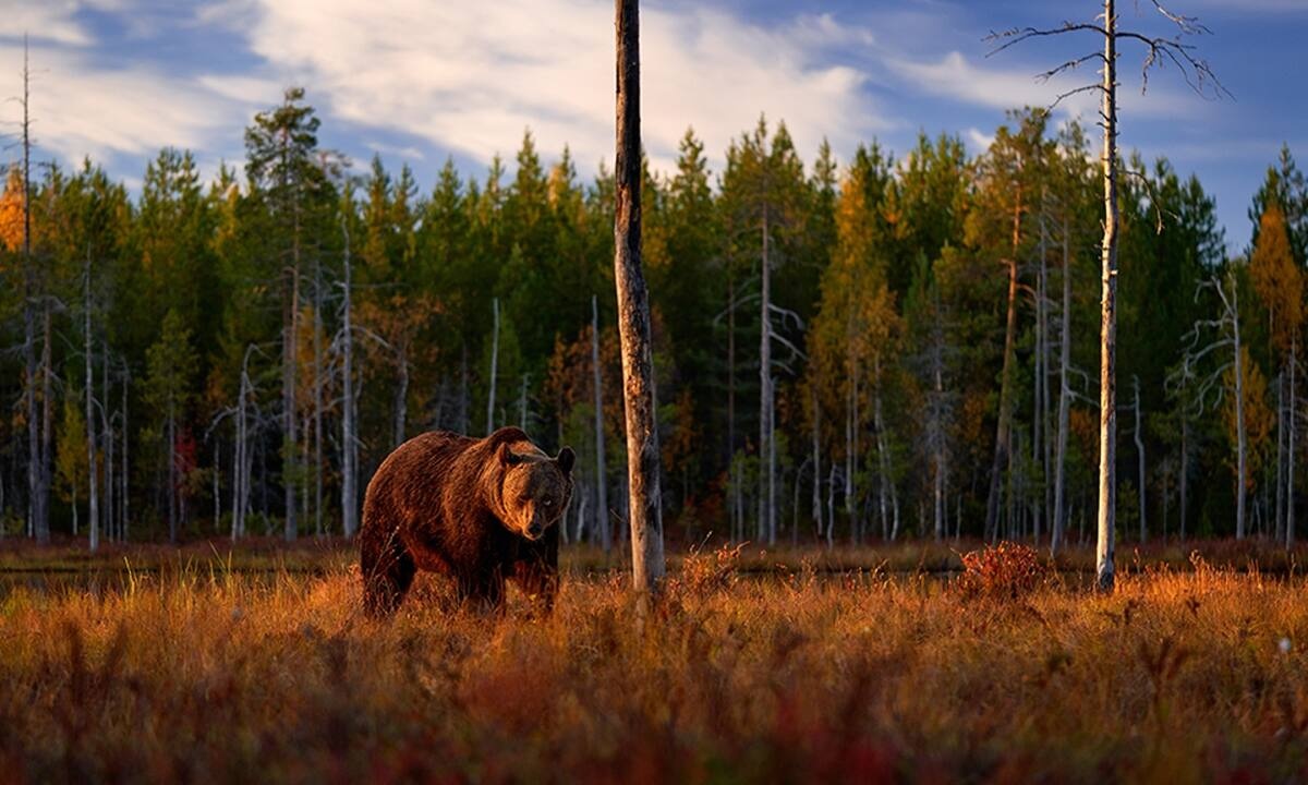 Διάβασε ΔΩΡΕΑΝ την προσωπική σου πρόβλεψη, για σήμερα 21/10/2022