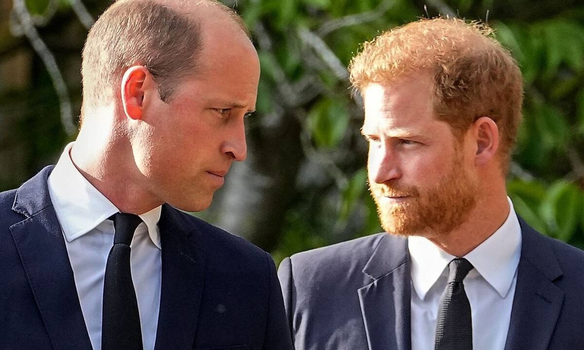 Επιβεβαιώθηκε τo πως νιώθουν William και Harry για το «The Crown»