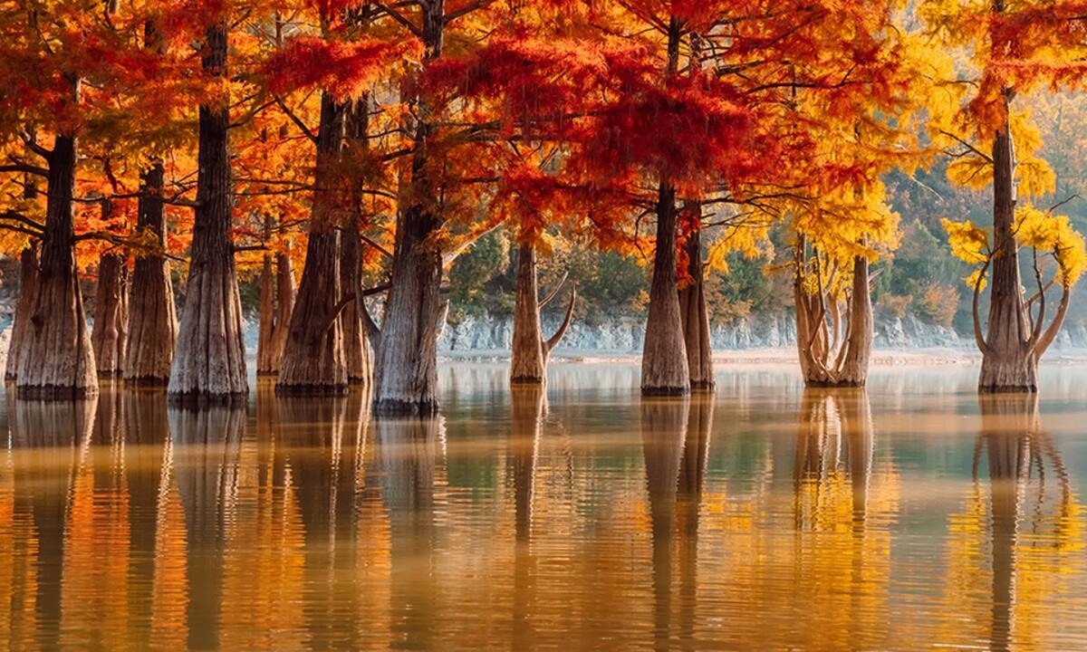 Διάβασε ΔΩΡΕΑΝ την προσωπική σου πρόβλεψη, για σήμερα 27/10/2022