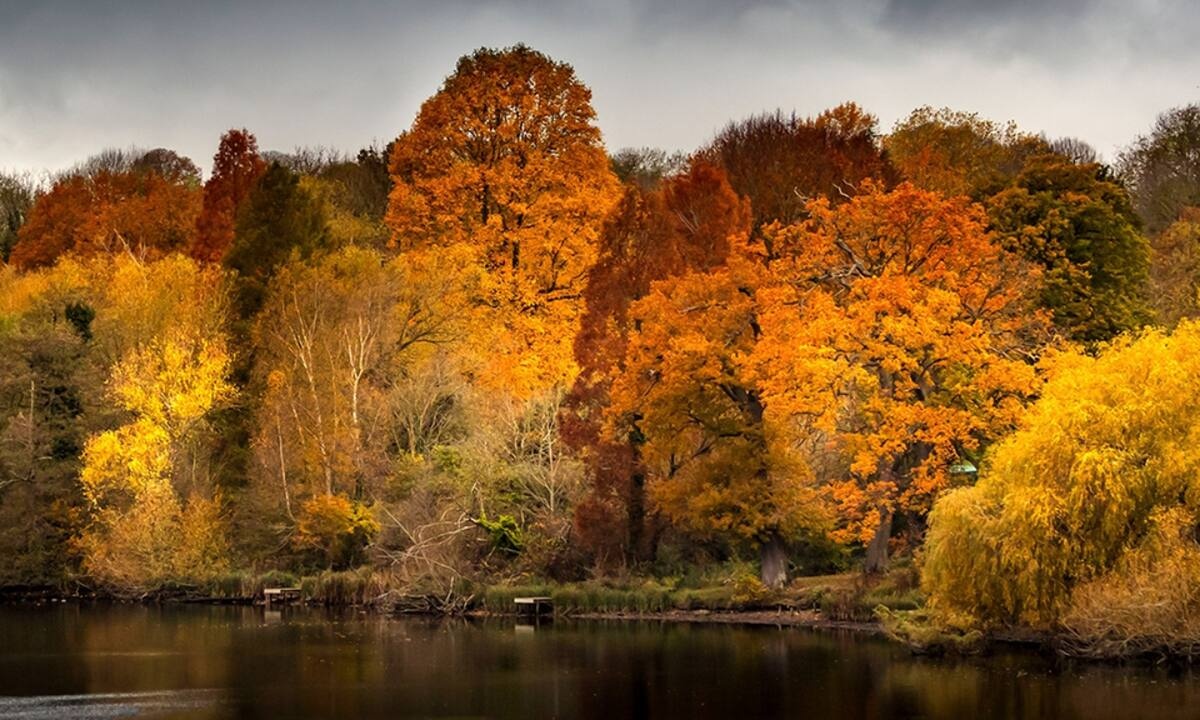 Τι λένε τα άστρα για τον Νοέμβριο του 2022