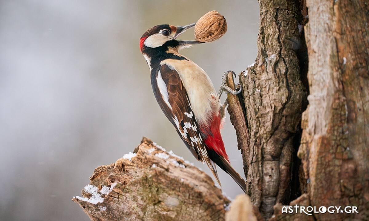 Διάβασε ΔΩΡΕΑΝ την προσωπική σου πρόβλεψη, για σήμερα 01/11/2022