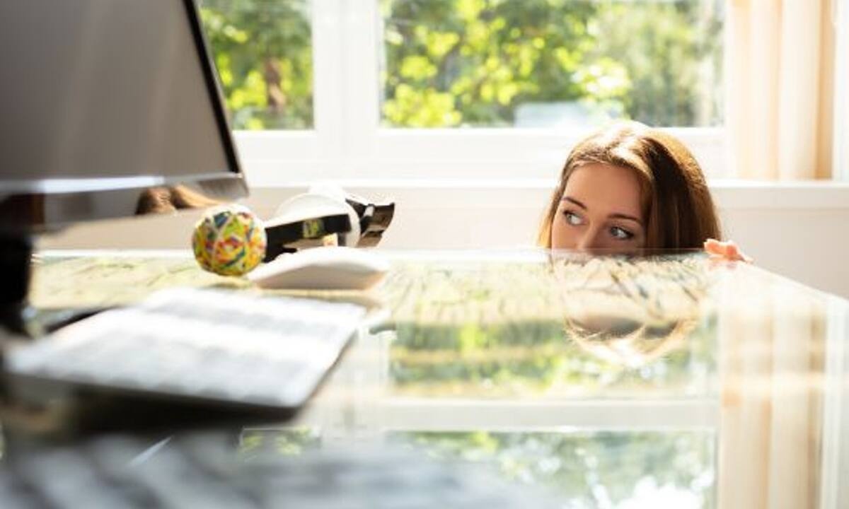 Αυτά τα ζώδια κινούνται αθόρυβα, μέχρι να φτάσουν στην κορυφή