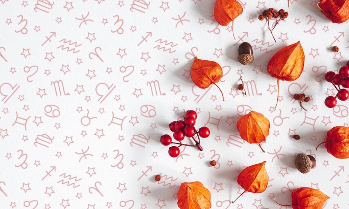 Εβδομαδιαίες προβλέψεις από 06/11 έως 12/11: Καμία έξοδος διαφυγής