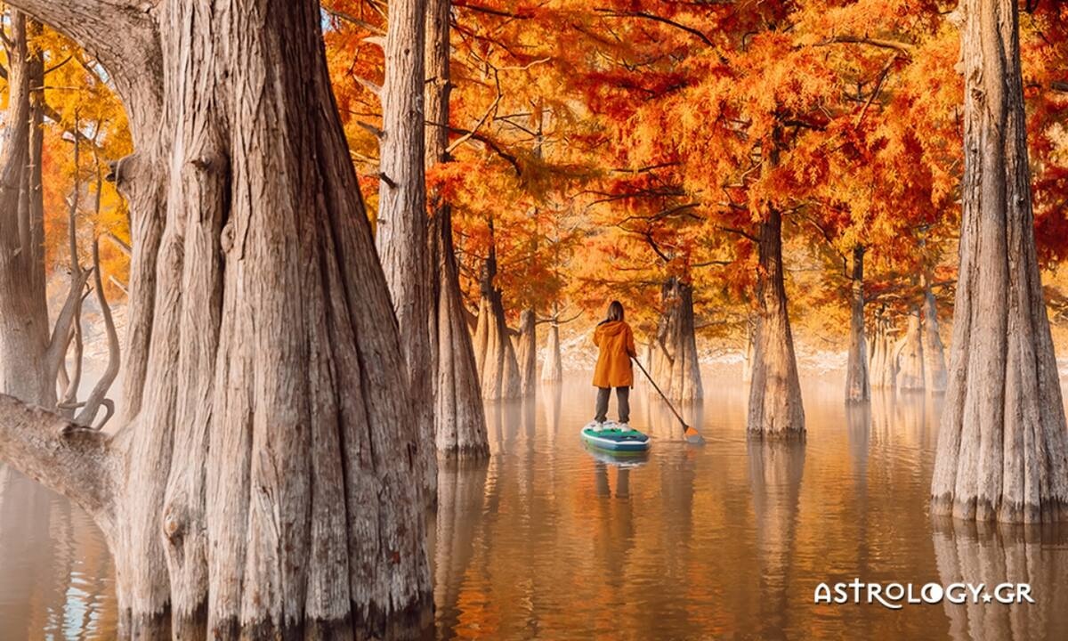 Ημερήσιες Προβλέψεις για όλα τα Ζώδια, 06/11