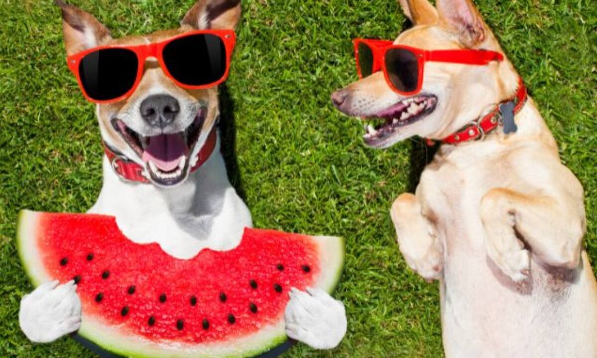 Αυτά είναι τα ζώδια που δε ζηλεύουν τίποτα και κανέναν