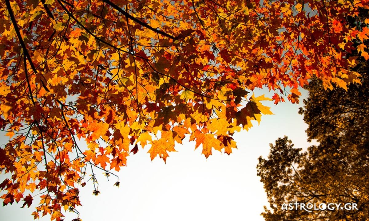 Διάβασε ΔΩΡΕΑΝ την προσωπική σου πρόβλεψη, για σήμερα 08/11/2022
