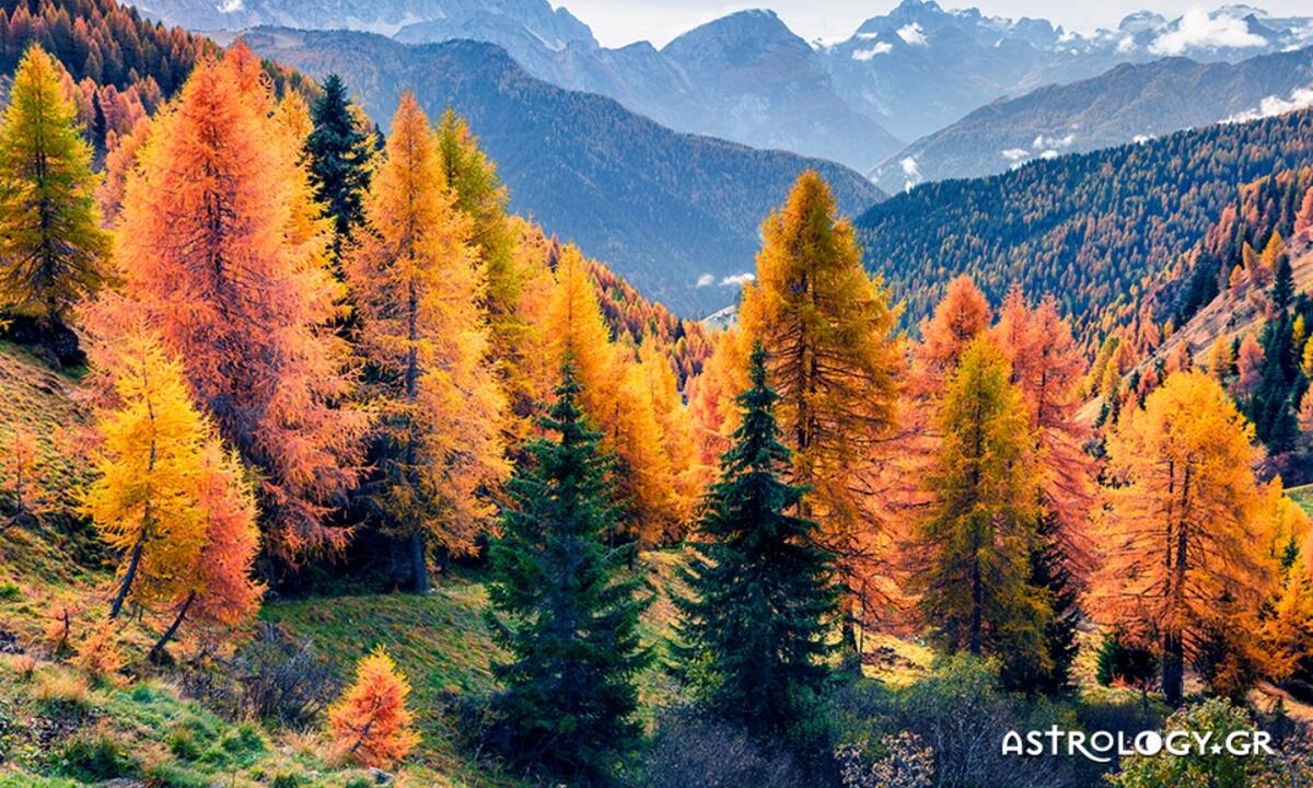 Διάβασε ΔΩΡΕΑΝ την προσωπική σου πρόβλεψη, για σήμερα 12/11/2022