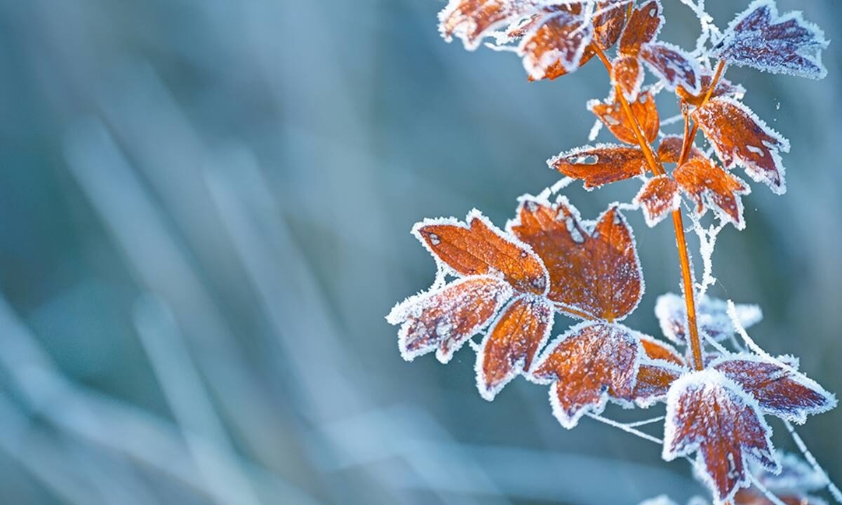 Διάβασε ΔΩΡΕΑΝ την προσωπική σου πρόβλεψη, για σήμερα 18/11/2022