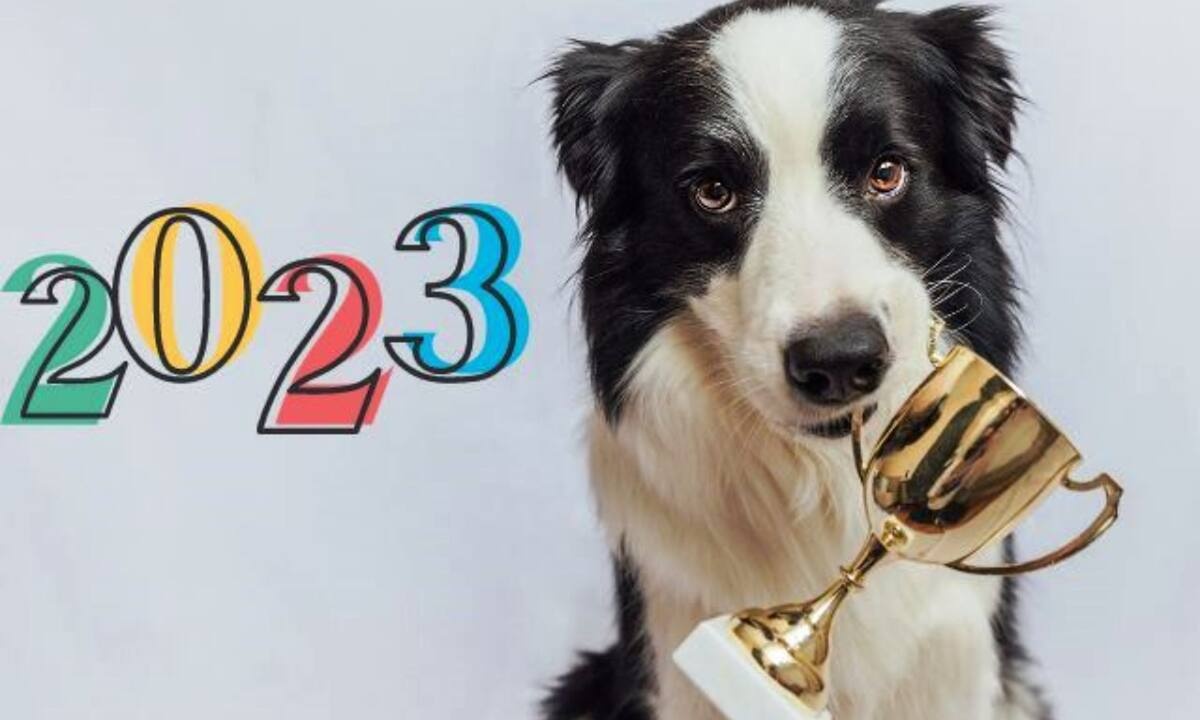 Να ποια θα είναι τα πιο ανταγωνιστικά ζώδια το 2023