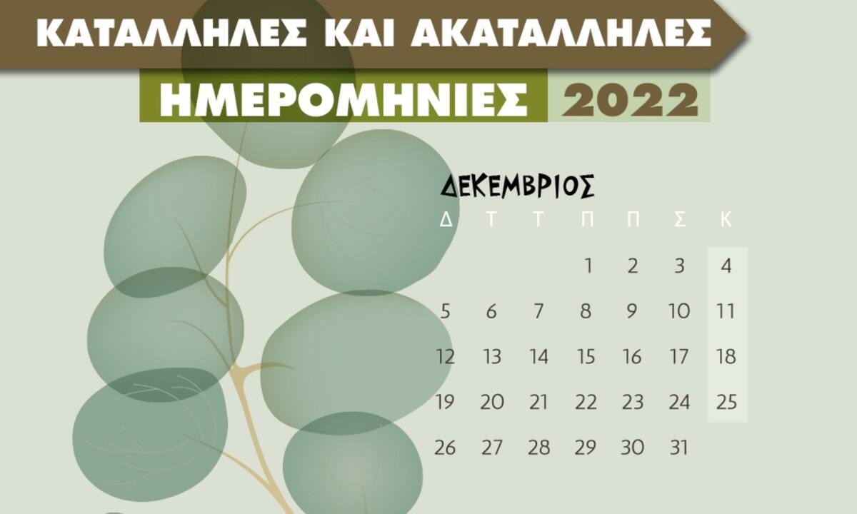 Οι κατάλληλες και οι ακατάλληλες ημερομηνίες του Δεκεμβρίου