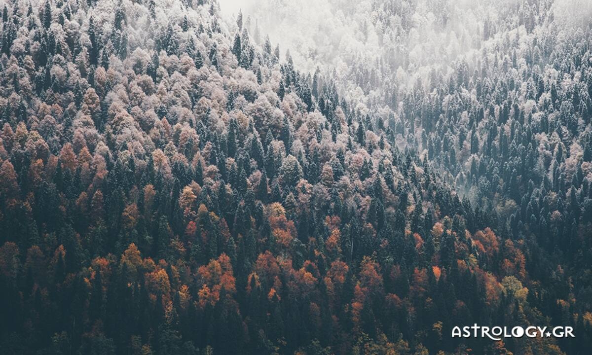 Διάβασε ΔΩΡΕΑΝ την προσωπική σου πρόβλεψη, για σήμερα 24/11/2022