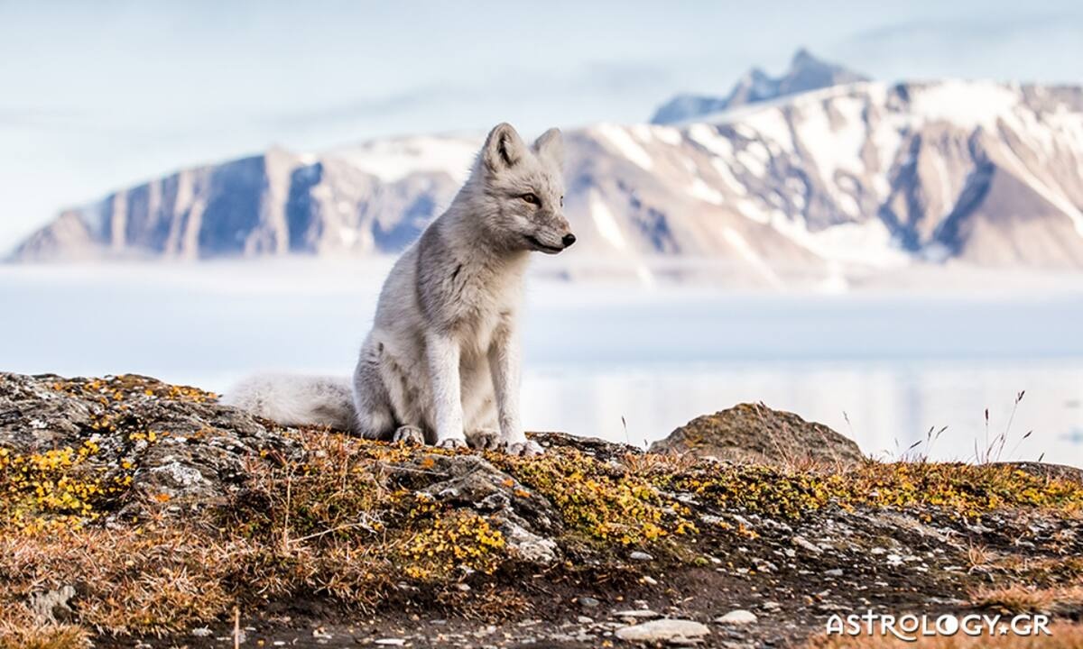 Διάβασε ΔΩΡΕΑΝ την προσωπική σου πρόβλεψη, για σήμερα 25/11/2022