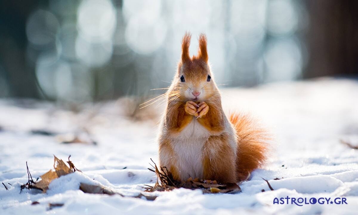 Διάβασε ΔΩΡΕΑΝ την προσωπική σου πρόβλεψη, για σήμερα 01/12/2022