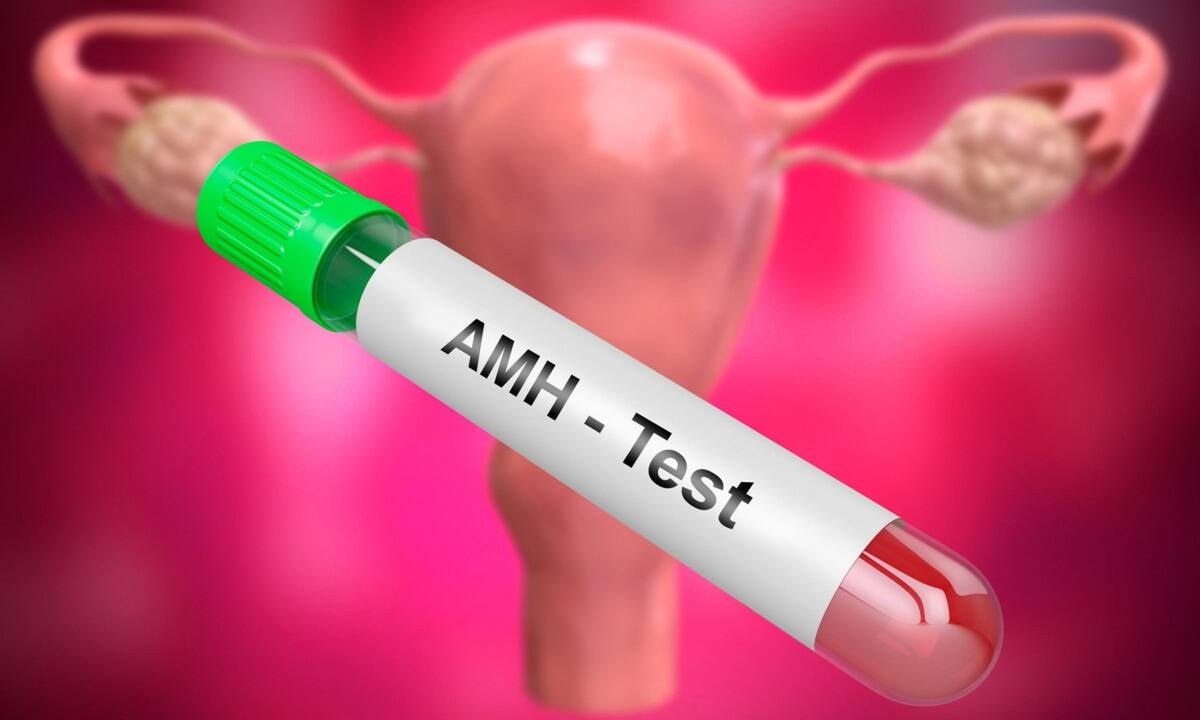 Αντιμυλλέριος ορμόνη: Η σχέση της με τον καρδιαγγειακό κίνδυνο