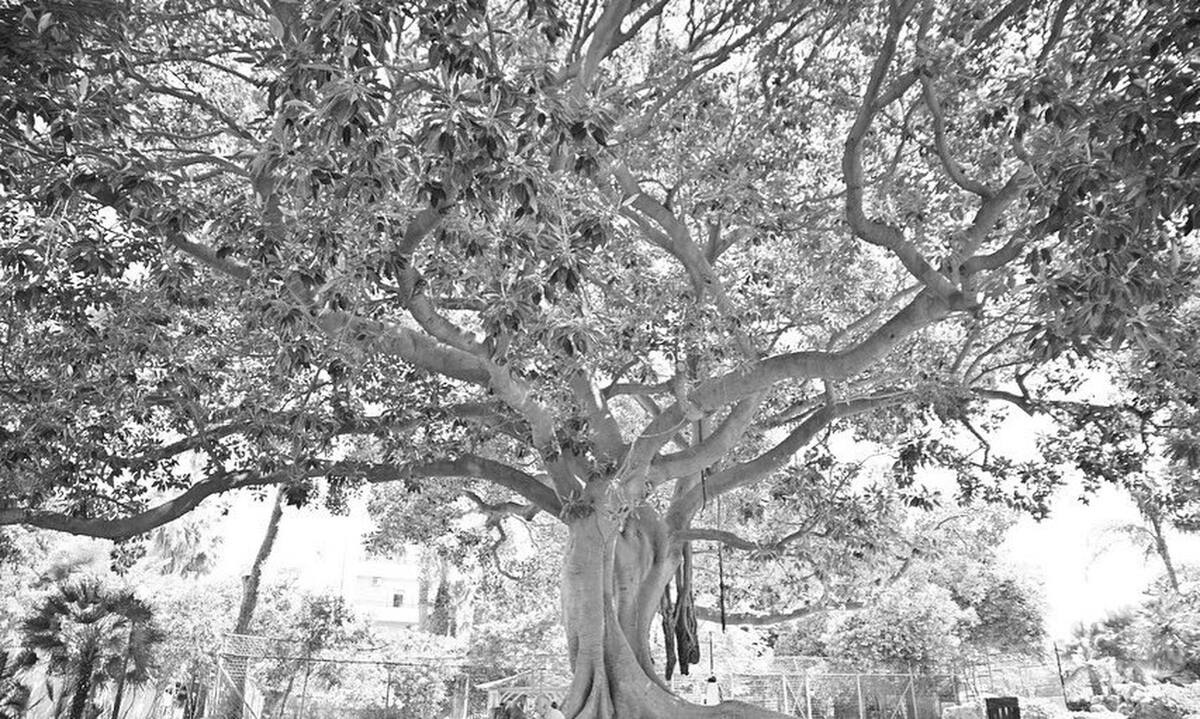 Σασμός: Ο θάνατος που θα βυθίσει σε πένθος το χωριό