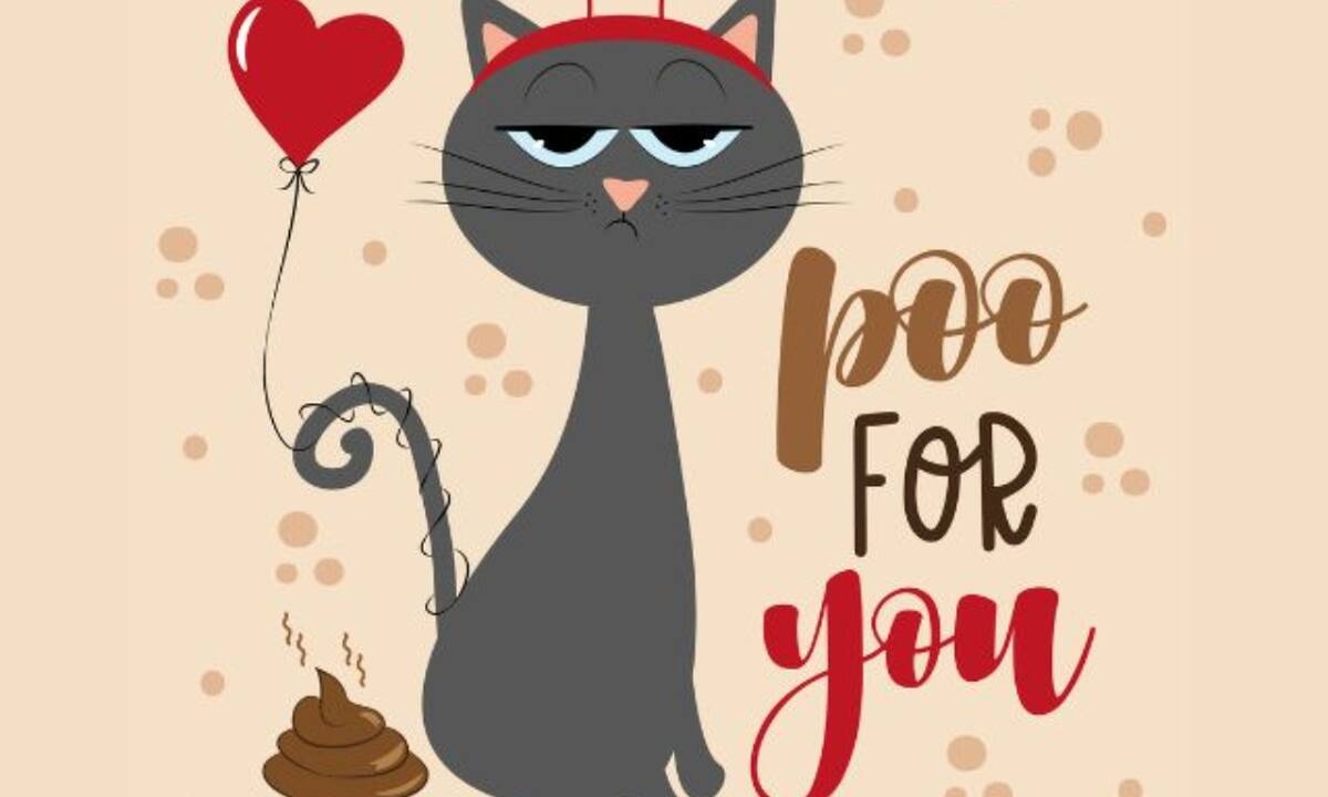 Ποιο ζώδιο εκφράζει περισσότερο η γάτα στην φωτογραφία;