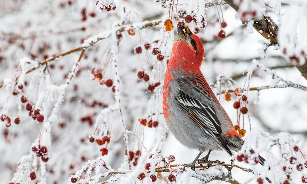 Διάβασε ΔΩΡΕΑΝ την προσωπική σου πρόβλεψη, για σήμερα 17/12/2022