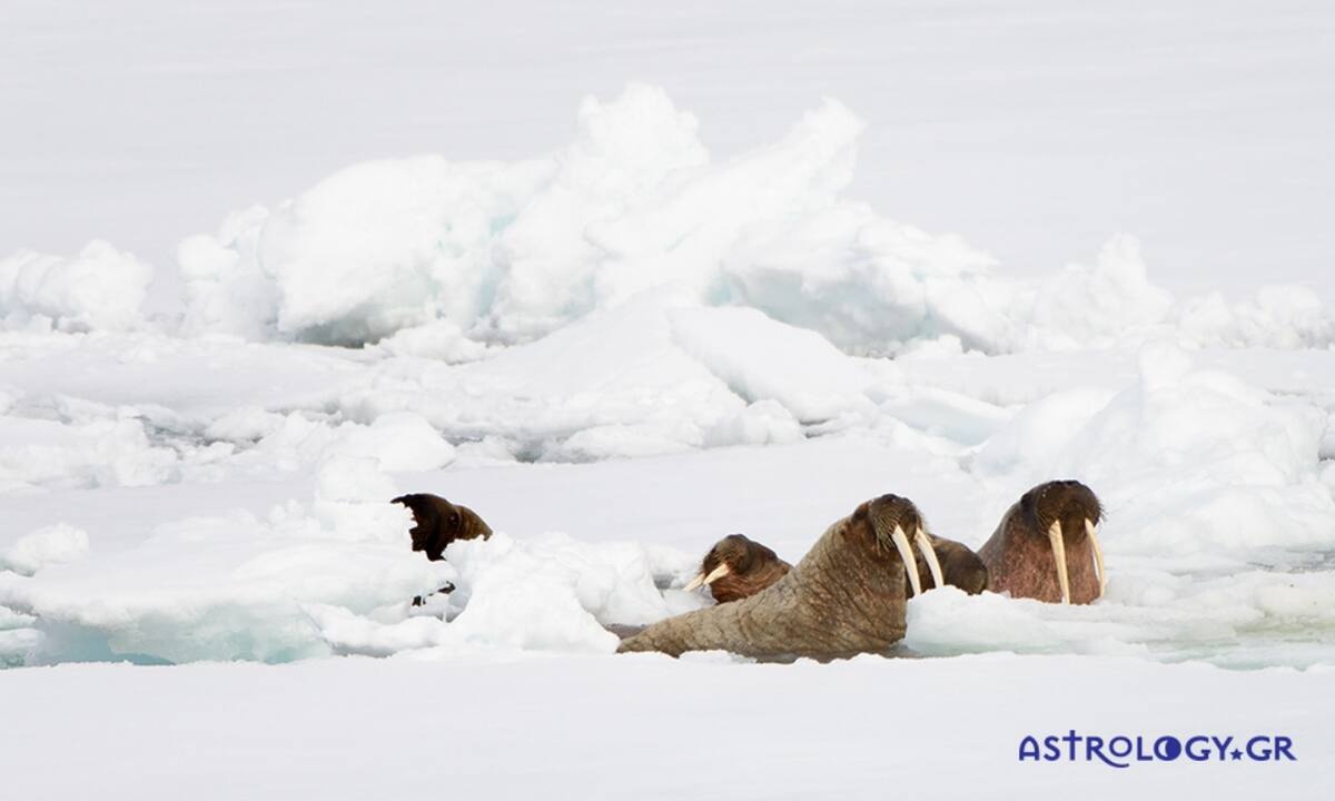 Διάβασε ΔΩΡΕΑΝ την προσωπική σου πρόβλεψη, για σήμερα 19/12/2022