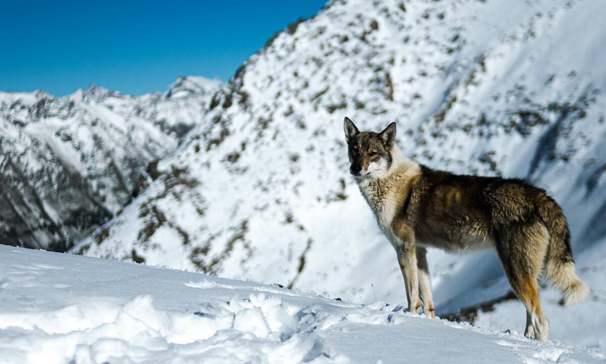 Διάβασε ΔΩΡΕΑΝ την προσωπική σου πρόβλεψη, για σήμερα 29/12/2022