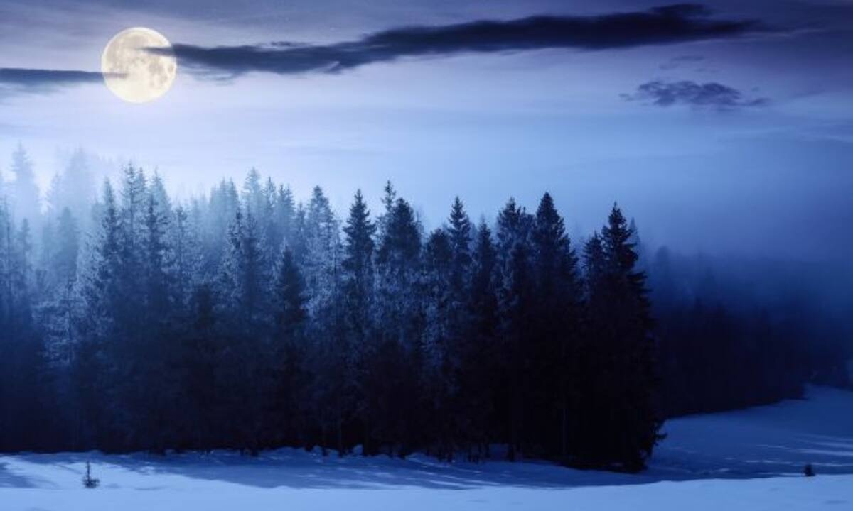 Δες τον δρόμο που σου δείχνει το Φεγγάρι από 01/01 έως 15/01