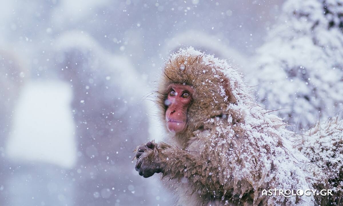 Διάβασε ΔΩΡΕΑΝ την προσωπική σου πρόβλεψη, για σήμερα 03/01/2023