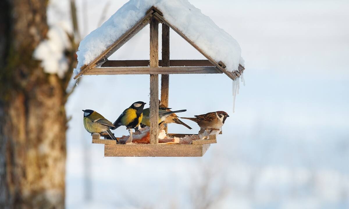 Διάβασε ΔΩΡΕΑΝ την προσωπική σου πρόβλεψη, για σήμερα 07/01/2023