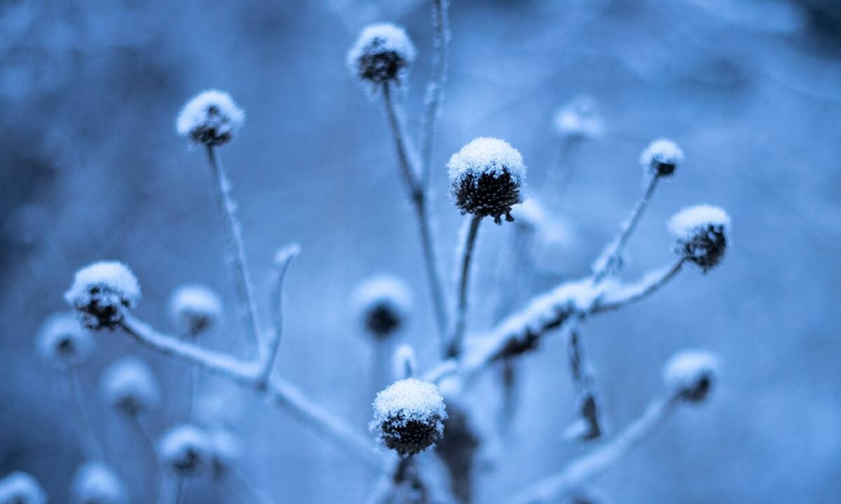 Διάβασε ΔΩΡΕΑΝ την προσωπική σου πρόβλεψη, για σήμερα 08/01/2023