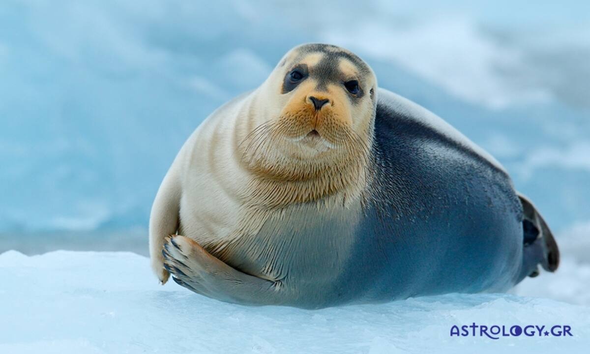 Διάβασε ΔΩΡΕΑΝ την προσωπική σου πρόβλεψη, για σήμερα 17/01/2023