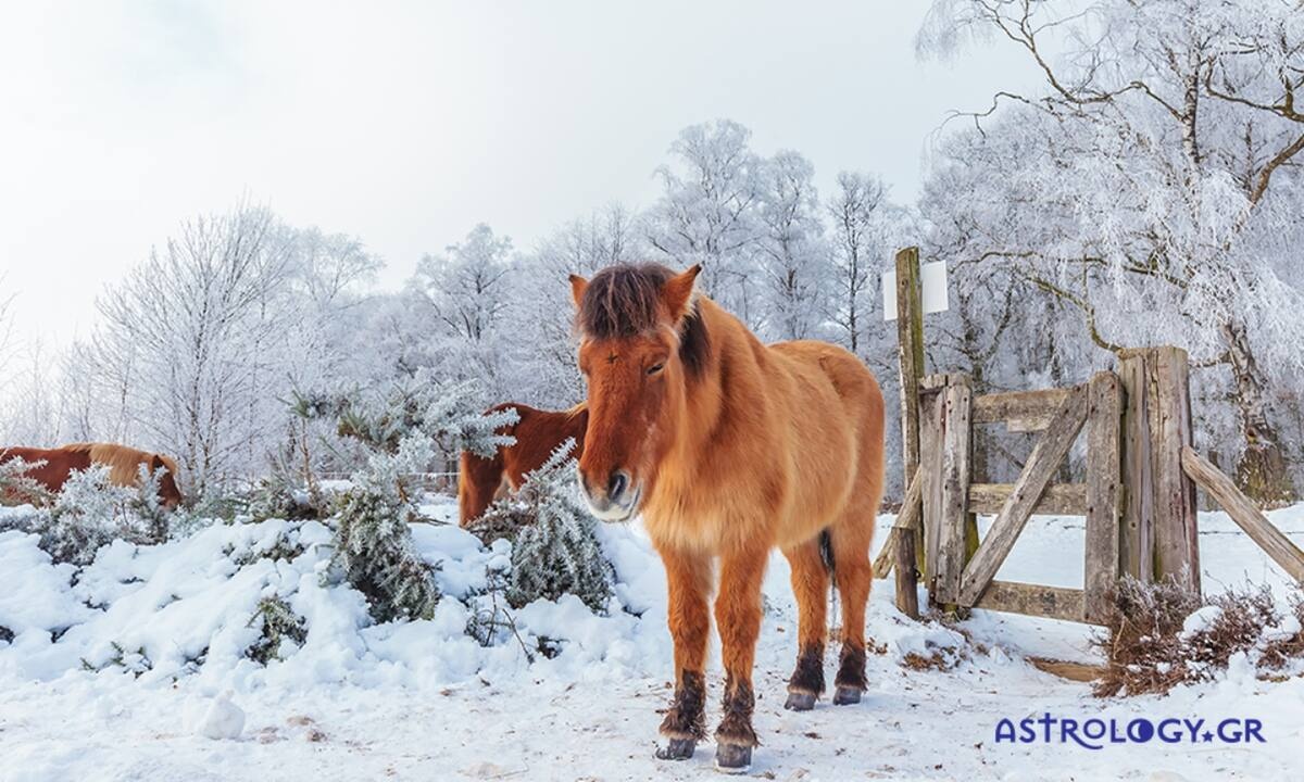 Διάβασε ΔΩΡΕΑΝ την προσωπική σου πρόβλεψη, για σήμερα 19/01/2023
