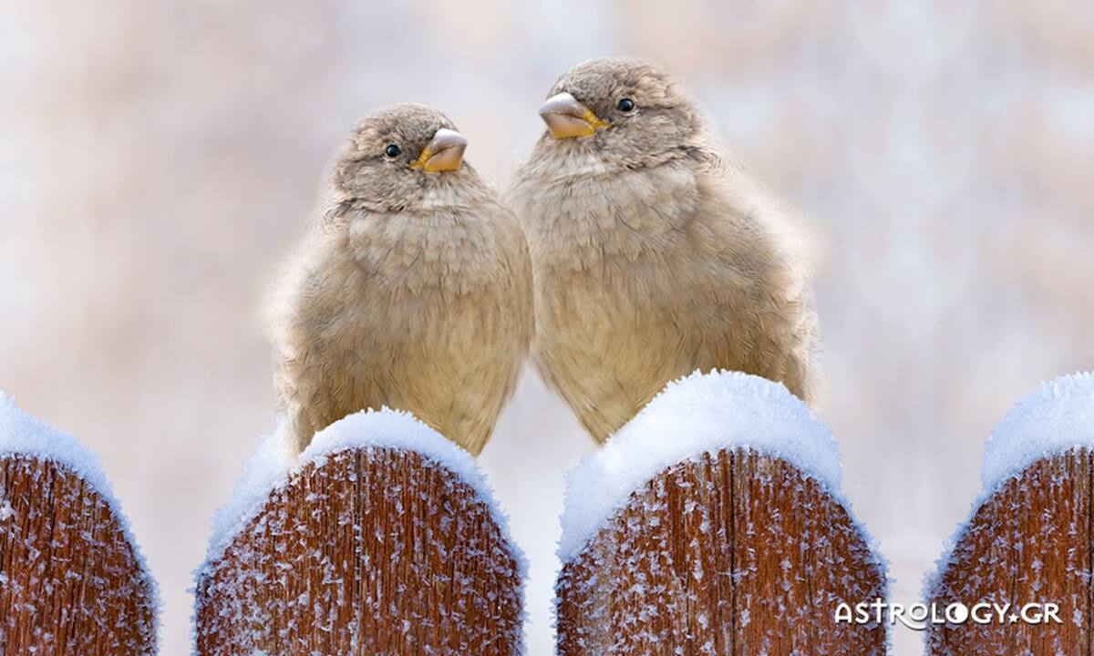 Διάβασε ΔΩΡΕΑΝ την προσωπική σου πρόβλεψη, για σήμερα 23/01/2023
