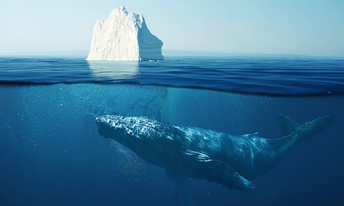 Διάβασε ΔΩΡΕΑΝ την προσωπική σου πρόβλεψη, για σήμερα 27/01/2023