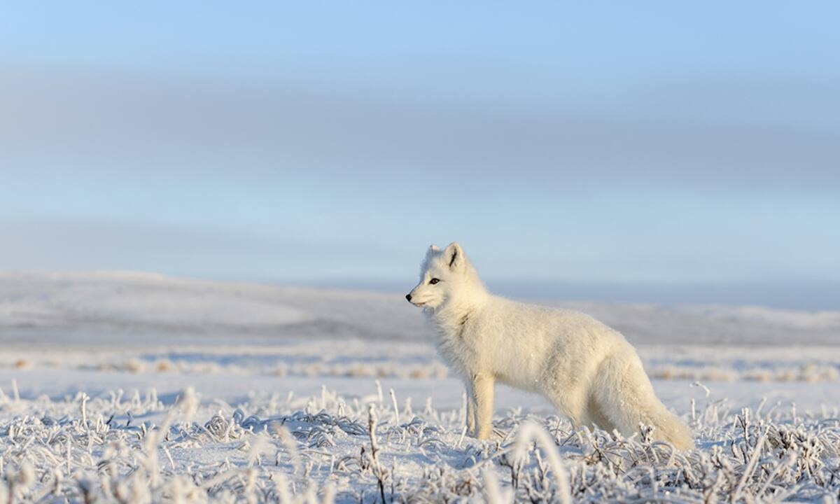 Διάβασε ΔΩΡΕΑΝ την προσωπική σου πρόβλεψη, για σήμερα 29/01/2023
