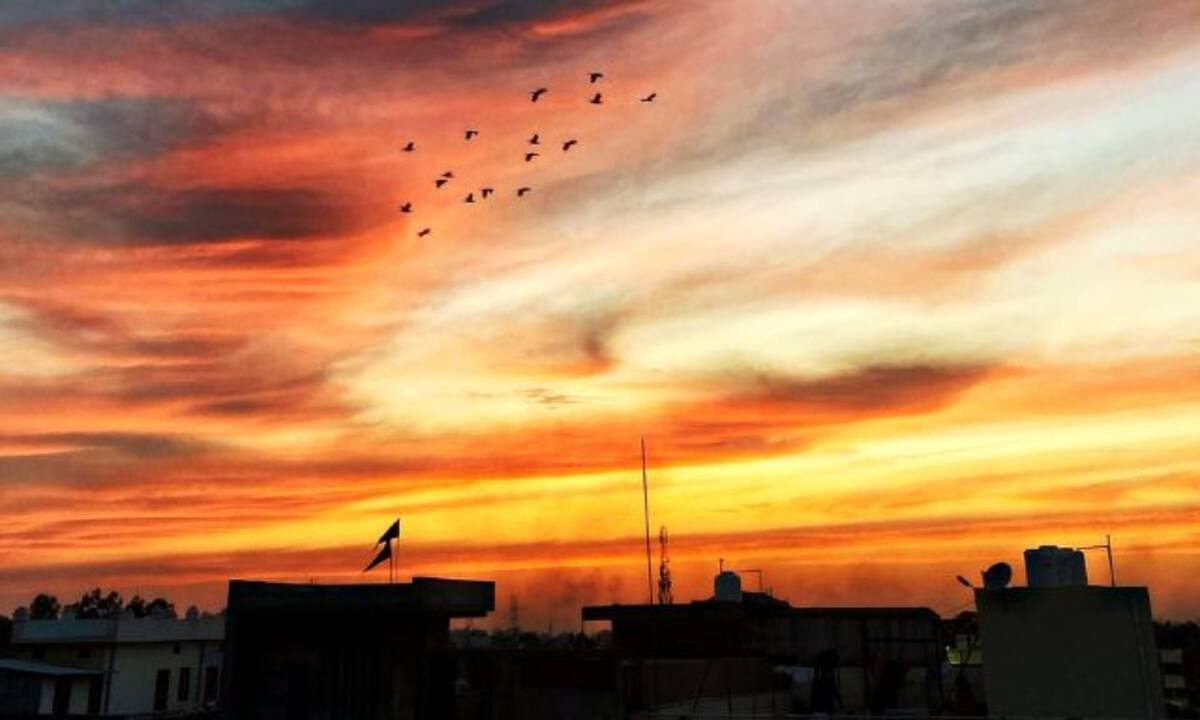 Η ημερομηνία γέννησής σου σχετίζεται με τον τόπο που μένεις