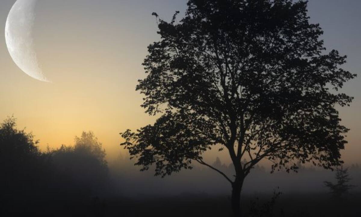 Νέα Σελήνη στον Υδροχόο: Αυτά τα ζώδια θα κάνουν μια καινούργια αρχή