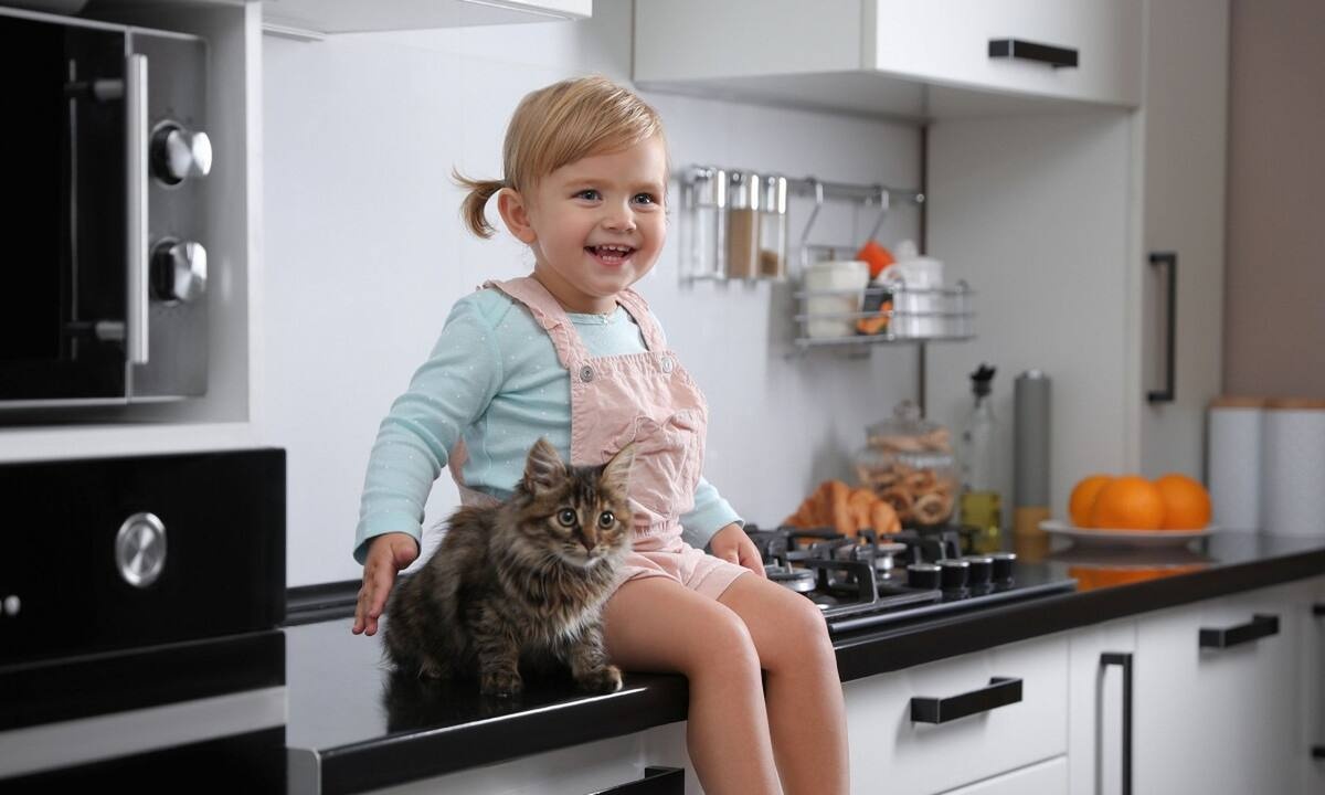 Βραδινό γεύμα: Νόστιμες και υγιεινές συνταγές