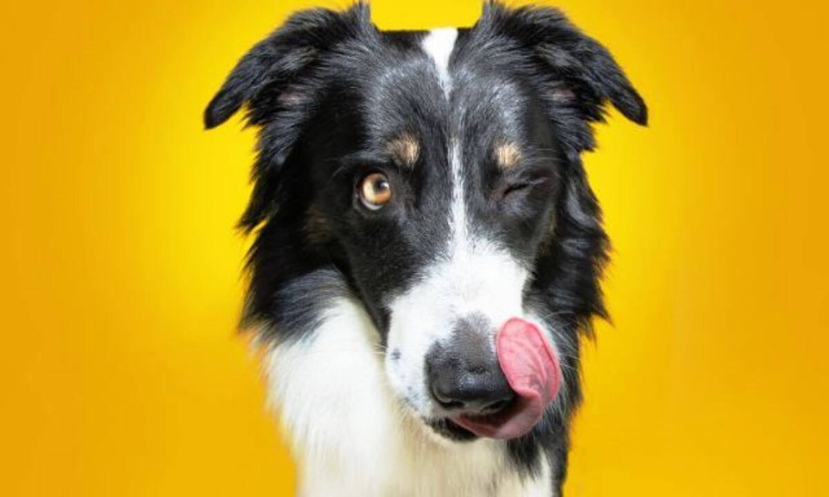 Να ποιοι είναι οι μεγαλύτεροι κόλακες του ζωδιακού