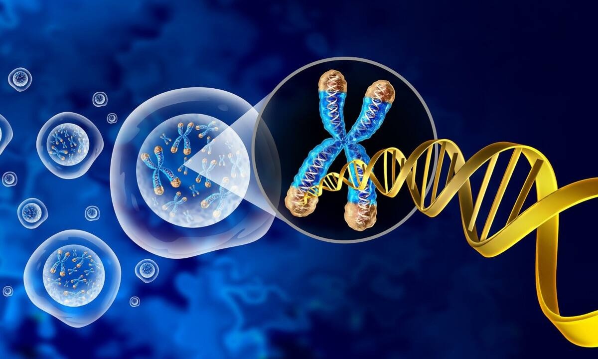 Σύνδρομο VEXAS: Τα συμπτώματα της μυστήριας πάθησης