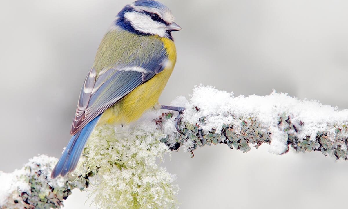 Διάβασε ΔΩΡΕΑΝ την προσωπική σου πρόβλεψη, για σήμερα 01/02/2023