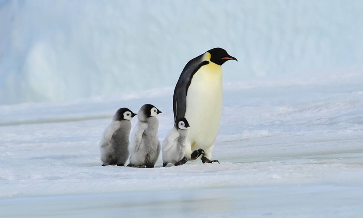 Διάβασε ΔΩΡΕΑΝ την προσωπική σου πρόβλεψη, για σήμερα 03/02/2023