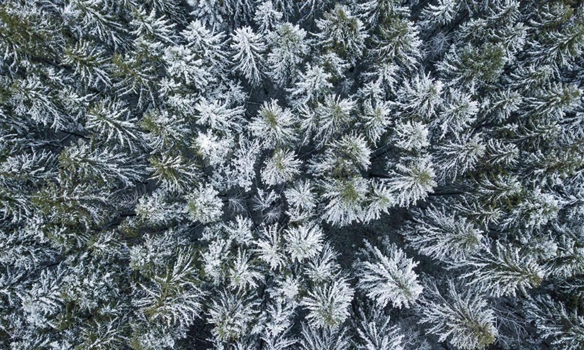 Διάβασε ΔΩΡΕΑΝ την προσωπική σου πρόβλεψη, για σήμερα 04/02/2023