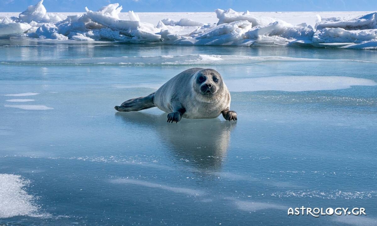 Διάβασε ΔΩΡΕΑΝ την προσωπική σου πρόβλεψη, για σήμερα 11/02/2023