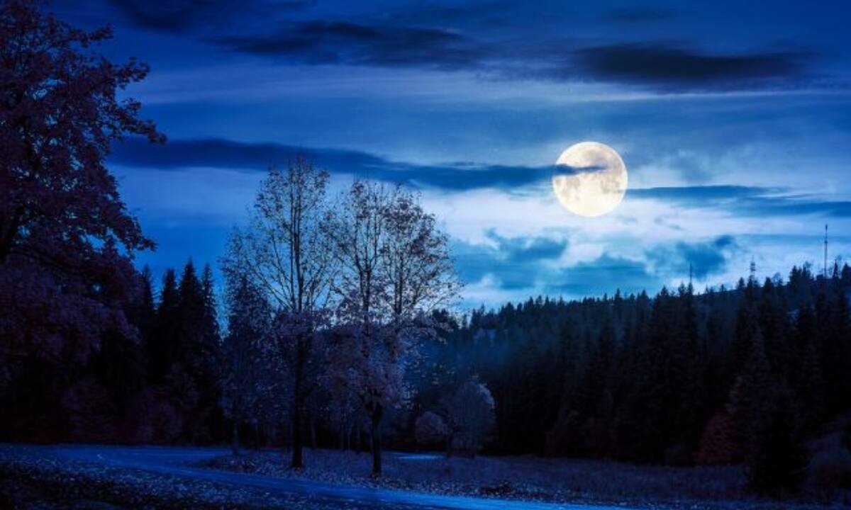 Το Φεγγάρι σου δείχνει το δρόμο από 01/02 έως 15/02