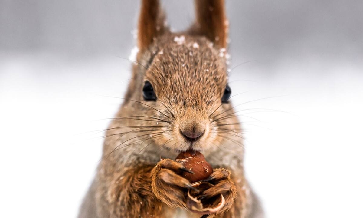Διάβασε ΔΩΡΕΑΝ την προσωπική σου πρόβλεψη, για σήμερα 21/02/2023
