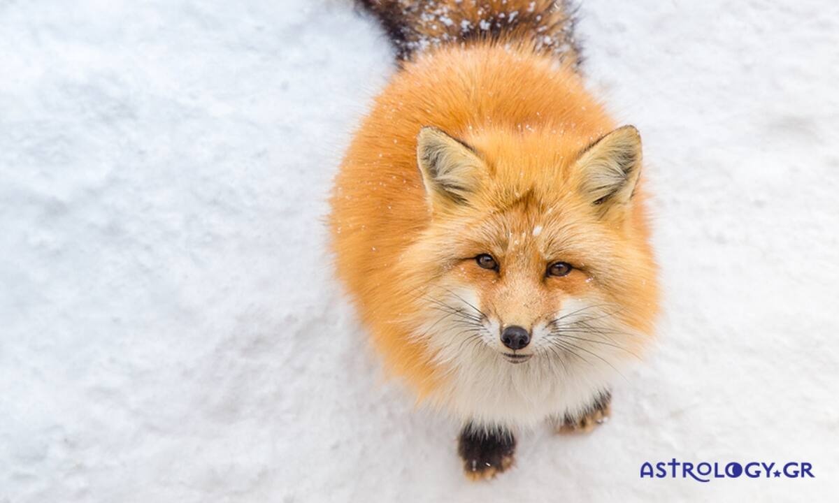 Διάβασε ΔΩΡΕΑΝ την προσωπική σου πρόβλεψη, για σήμερα 23/02/2023