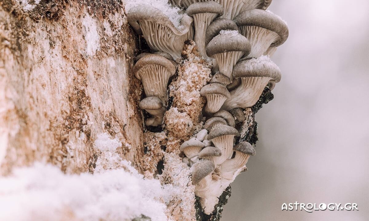 Διάβασε ΔΩΡΕΑΝ την προσωπική σου πρόβλεψη, για σήμερα 28/02/2023