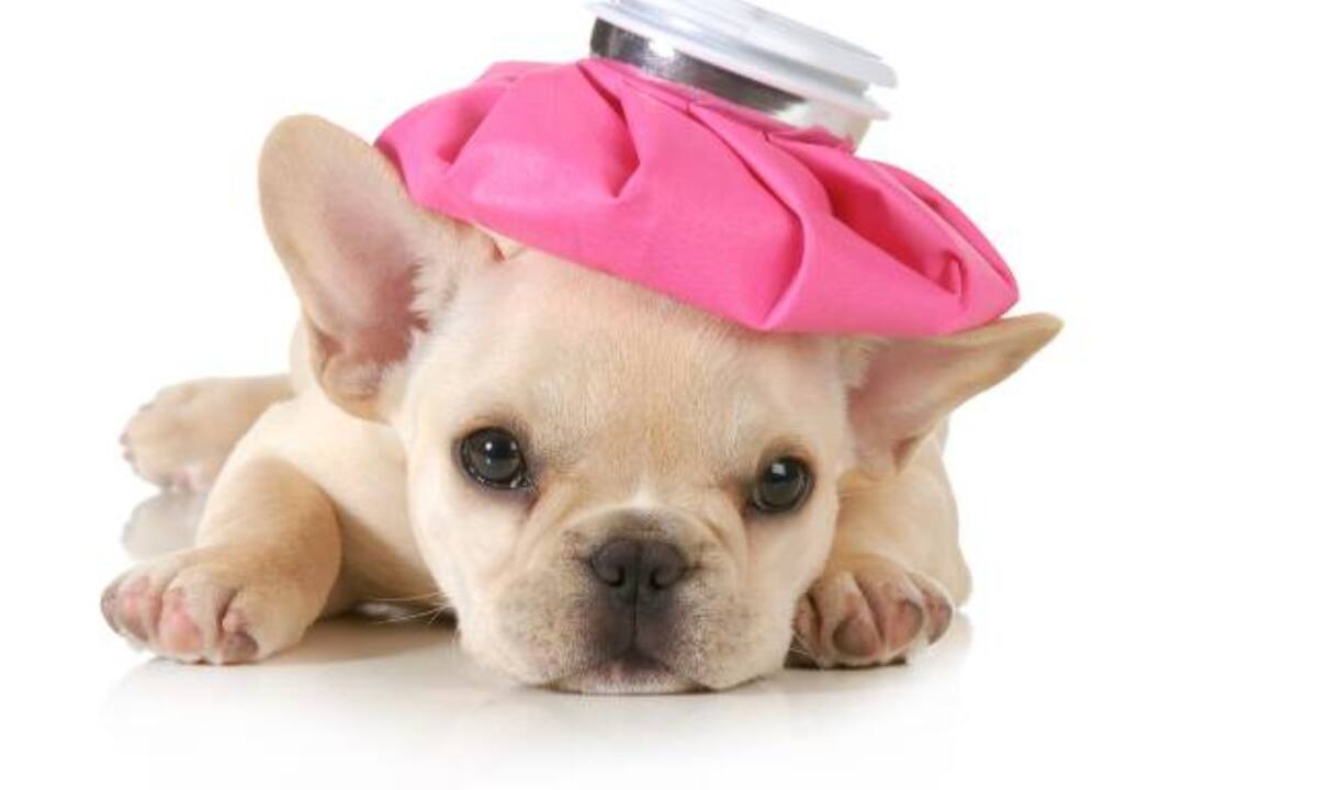 Σήμερα 07/02: Πλήρης αποσυντονισμός