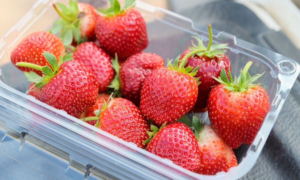Φράουλες: Τα οφέλη τους για την καρδιομεταβολική υγεία